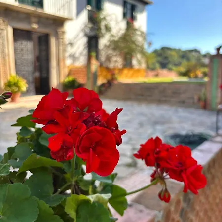 Hacienda Clavero One Garden *
