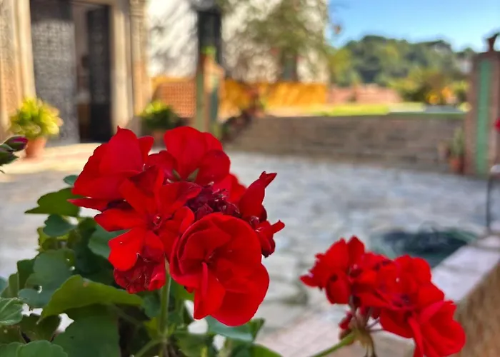 Hacienda Clavero One Garden *